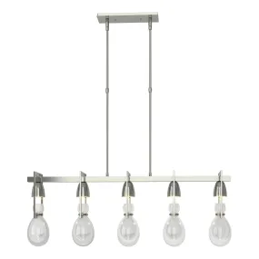 Apothecary Pendant 5-Light Clear Glass (ZM) in Sterling
