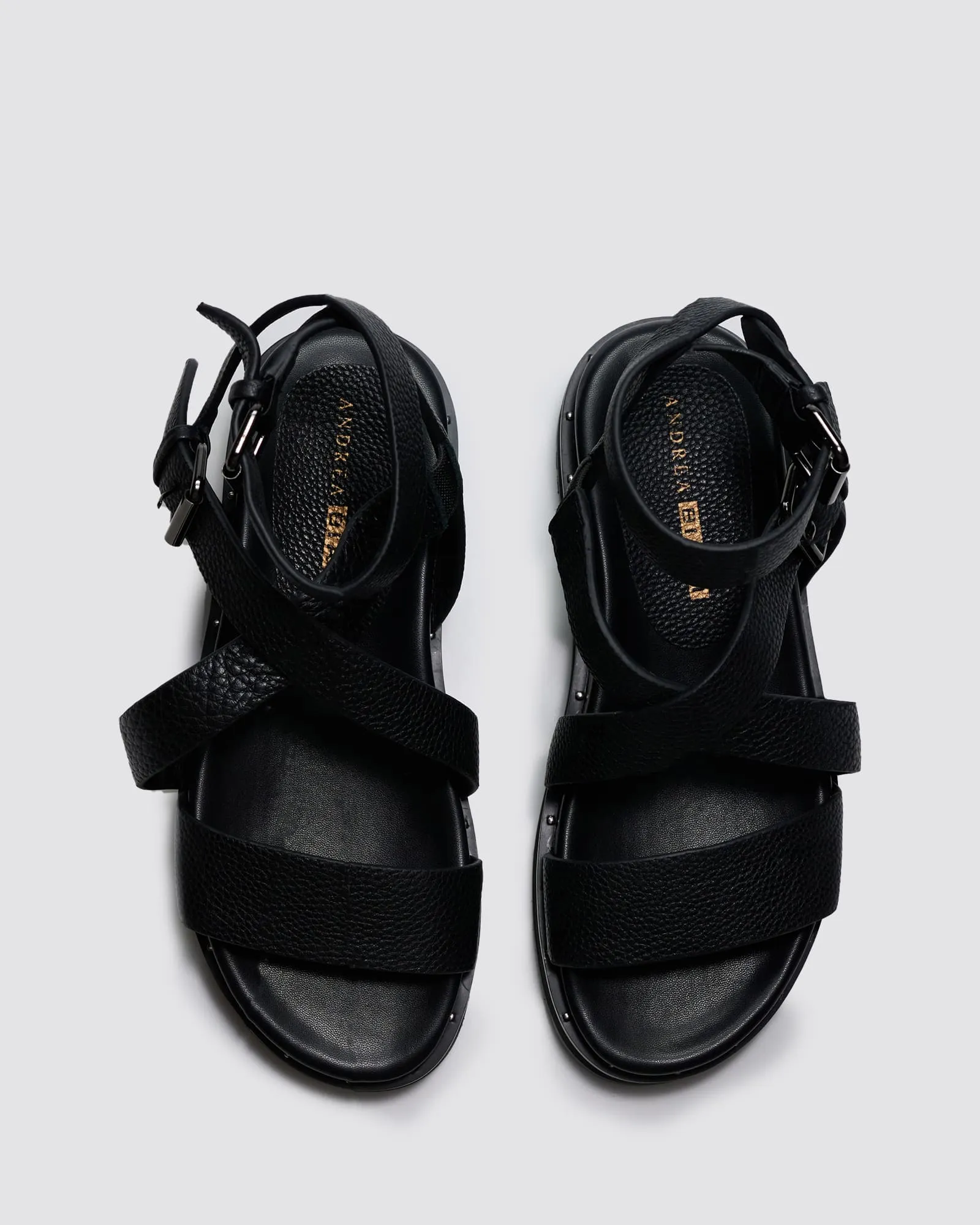 GLOBE BLACK