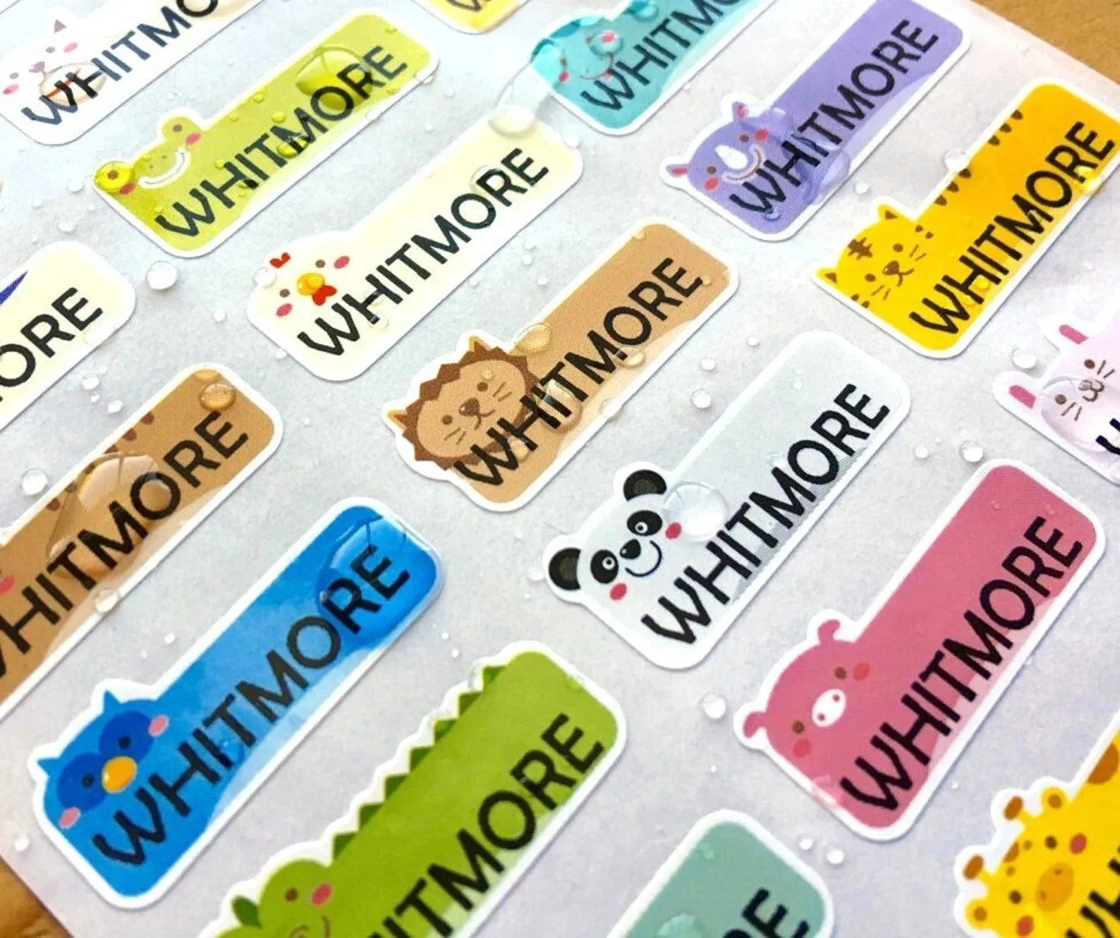 School Name Labels for Kids