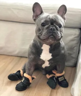 Warm french bulldog Boots (CS030)
